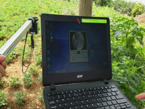 植物冠層圖像分析儀可以測(cè)量什么？