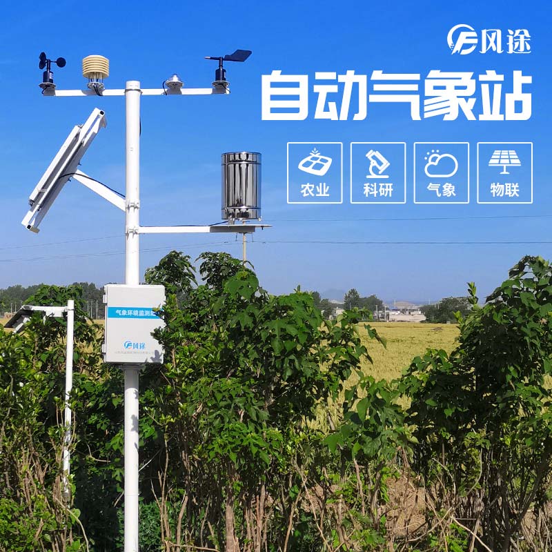 小麥穗期病蟲(chóng)害如何監(jiān)測(cè)？